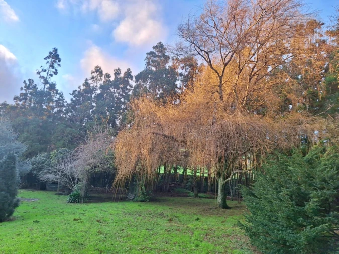 Moradia T4 para Venda em Feteira Foto 84