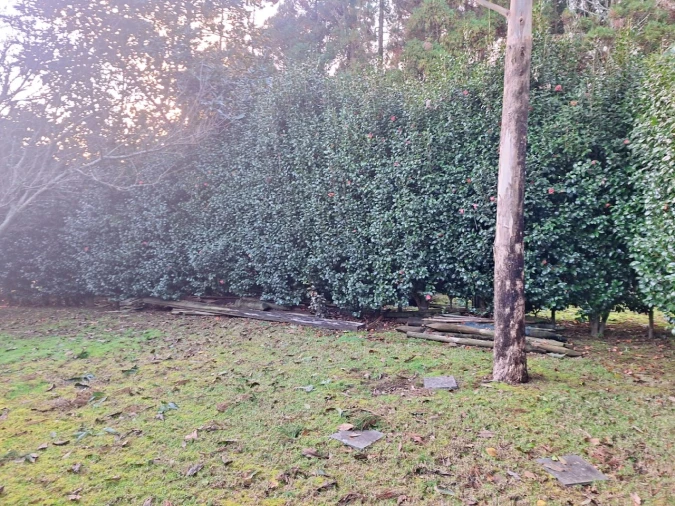 Moradia T4 para Venda em Feteira Foto 89