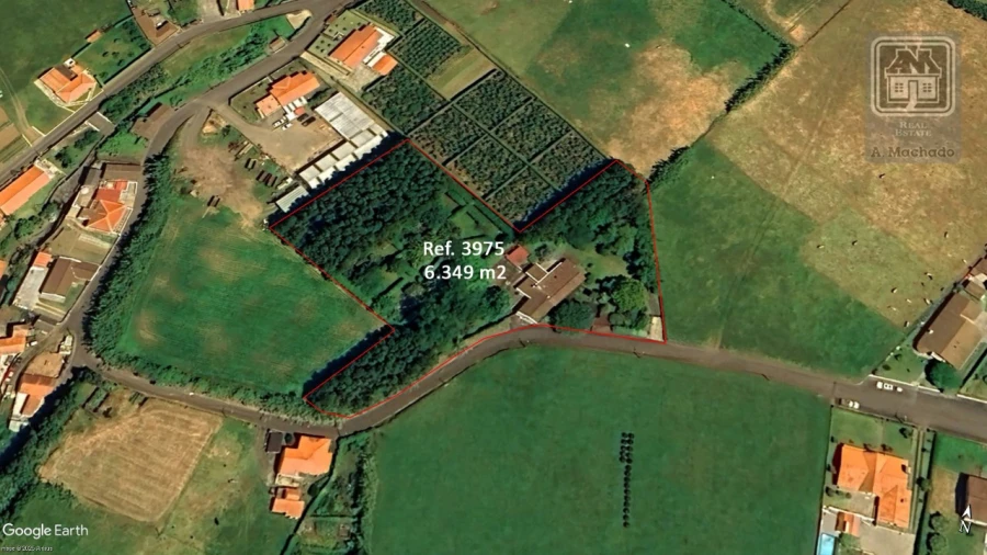 Moradia T4 para Venda em Feteira Planta 1