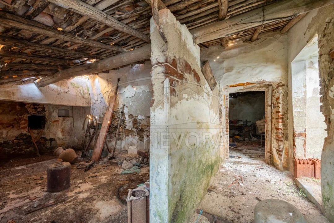 Moradia T3 para Venda em São Manços e São Vicente do Pigeiro Foto 3