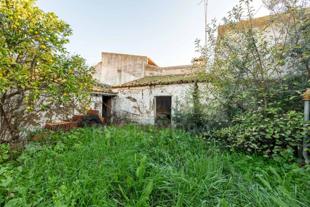 Moradia T3 para Venda em São Manços e São Vicente do Pigeiro Foto 13