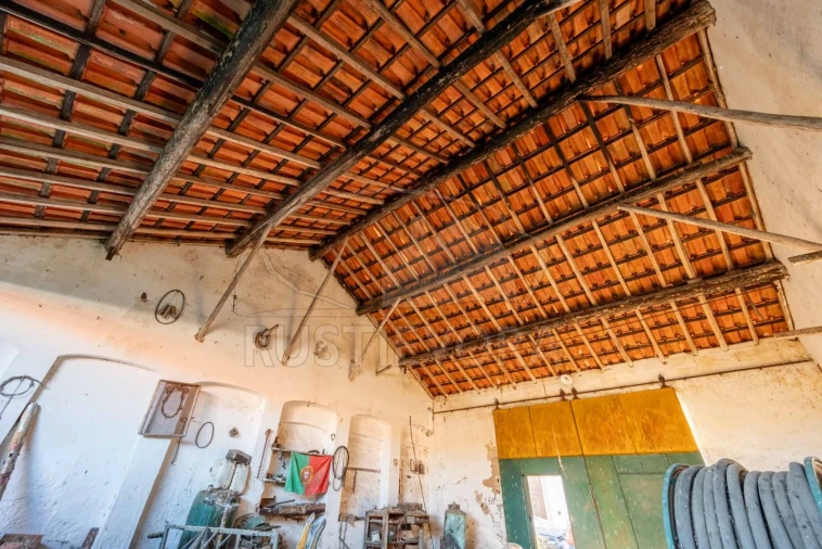 Moradia T3 para Venda em São Manços e São Vicente do Pigeiro Foto 12