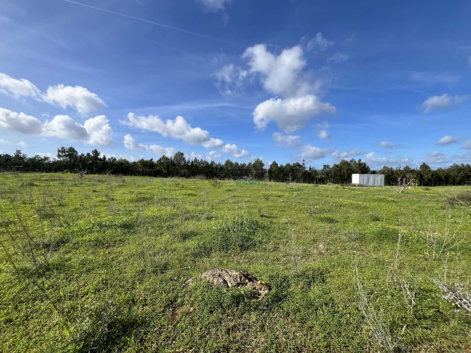 Terreno para Venda em Lagos (São Sebastião e Santa Maria) Foto 21