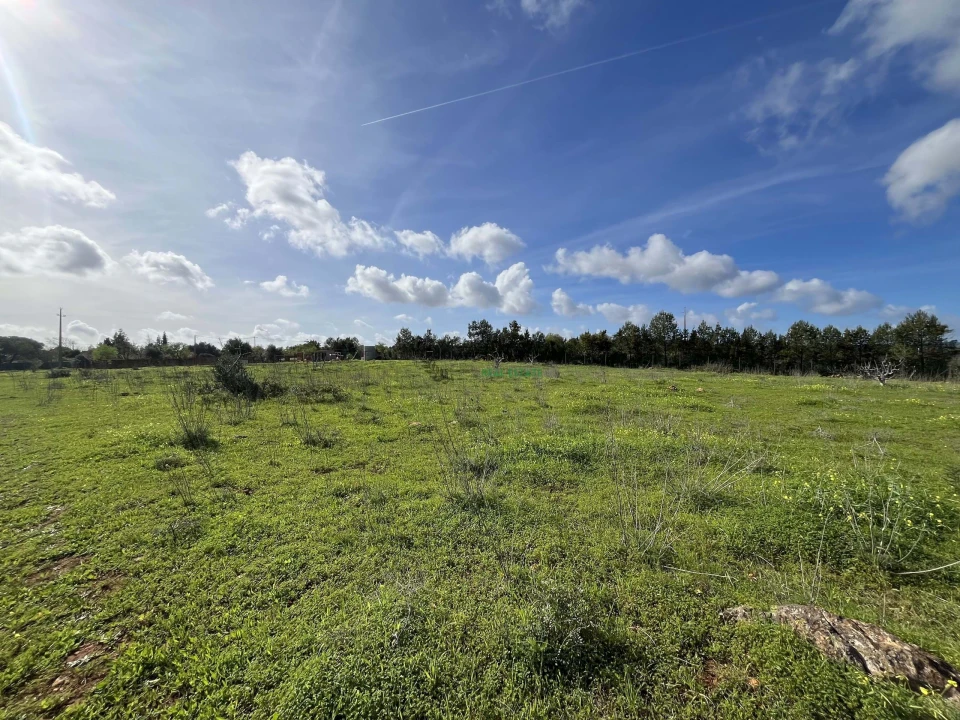 Terreno para Venda em Lagos (São Sebastião e Santa Maria) Foto 22