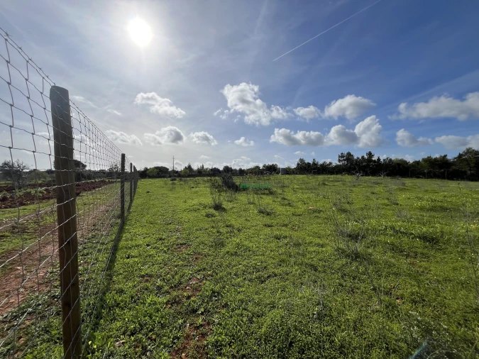 Terreno para Venda em Lagos (São Sebastião e Santa Maria) Foto 23