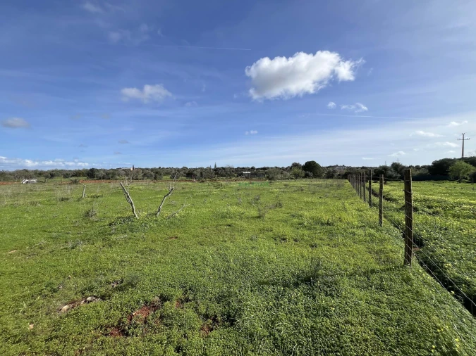 Terreno para Venda em Lagos (São Sebastião e Santa Maria) Foto 19