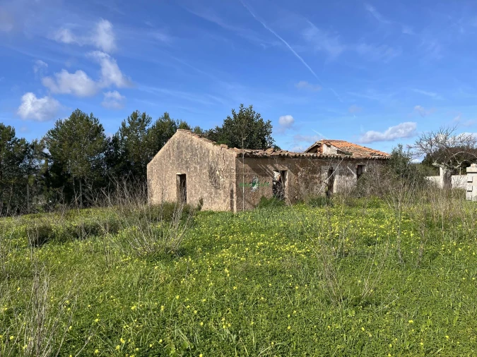 Terreno para Venda em Lagos (São Sebastião e Santa Maria) Foto 25