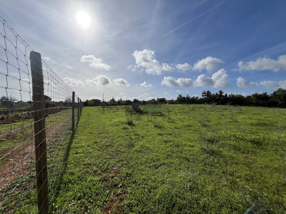 Terreno para Venda em Lagos (São Sebastião e Santa Maria) Foto 23