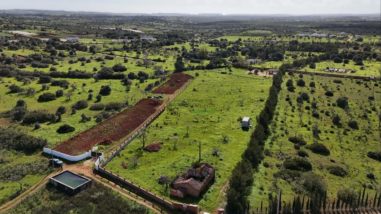 Terreno para Venda em Lagos (São Sebastião e Santa Maria) Foto 14