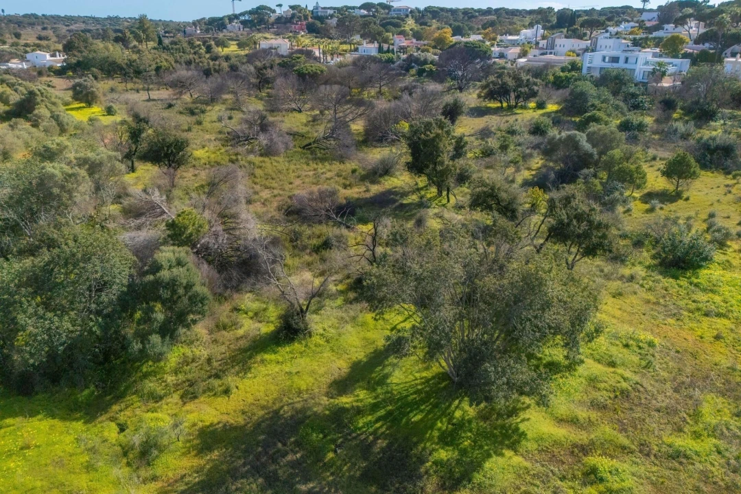 Terreno para Venda em Almancil Foto 35