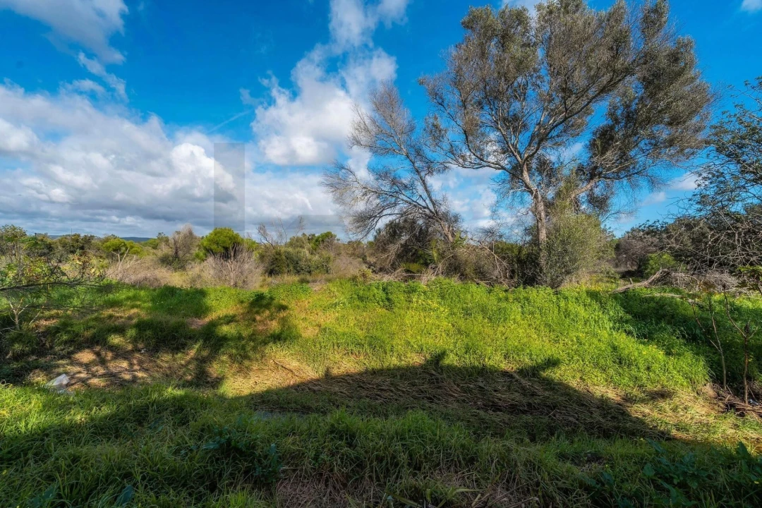Terreno para Venda em Almancil Foto 60