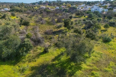 Terreno para Venda em Almancil