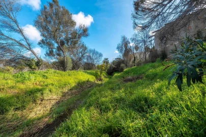 Terreno para Venda em Almancil