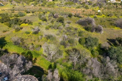 Terreno para Venda em Almancil