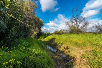 Terreno para Venda em Almancil