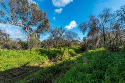 Terreno para Venda em Almancil