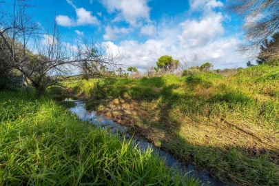 Terreno para Venda em Almancil