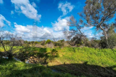 Terreno para Venda em Almancil