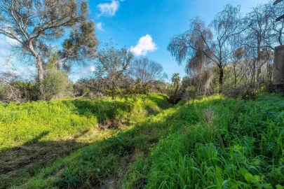 Terreno para Venda em Almancil