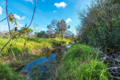 Terreno para Venda em Almancil