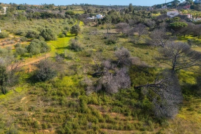 Terreno para Venda em Almancil