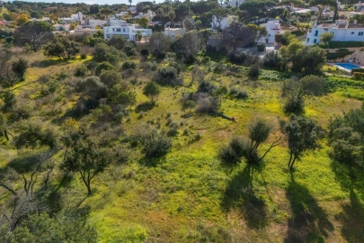 Terreno para Venda em Almancil