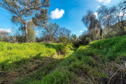 Terreno para Venda em Almancil