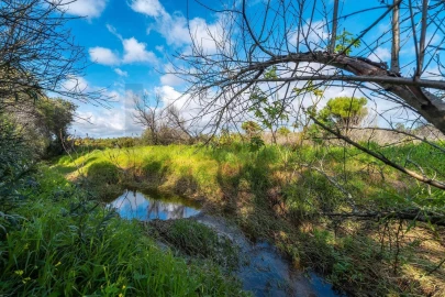 Terreno para Venda em Almancil
