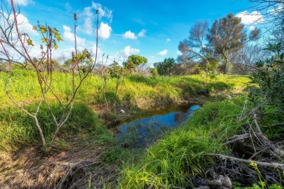 Terreno para Venda em Almancil