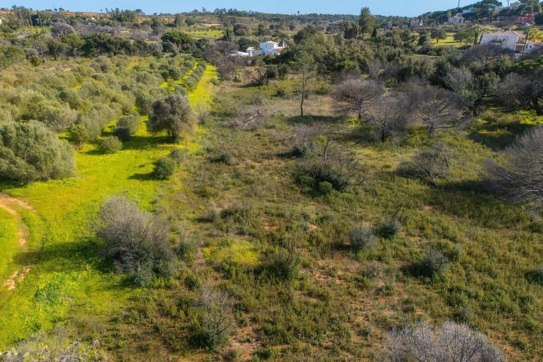 Terreno para Venda em Almancil Foto 40