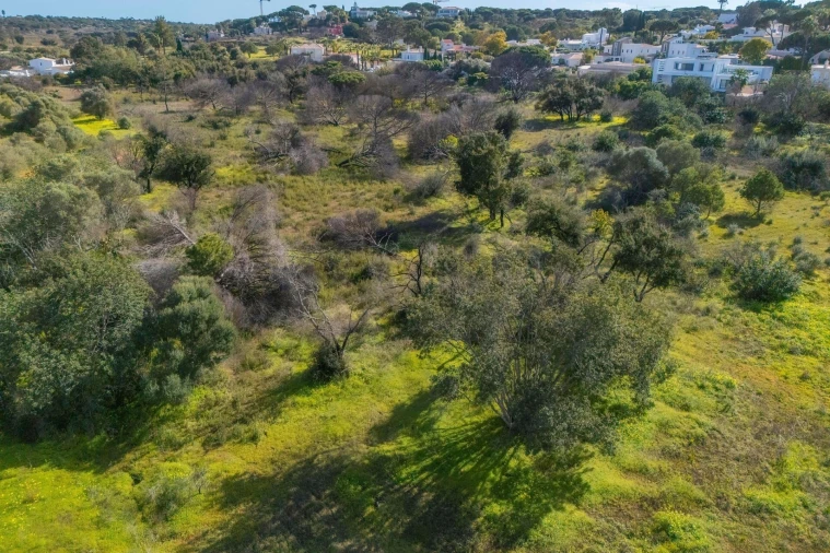 Terreno para Venda em Almancil Foto 35