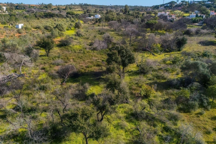 Terreno para Venda em Almancil Foto 37
