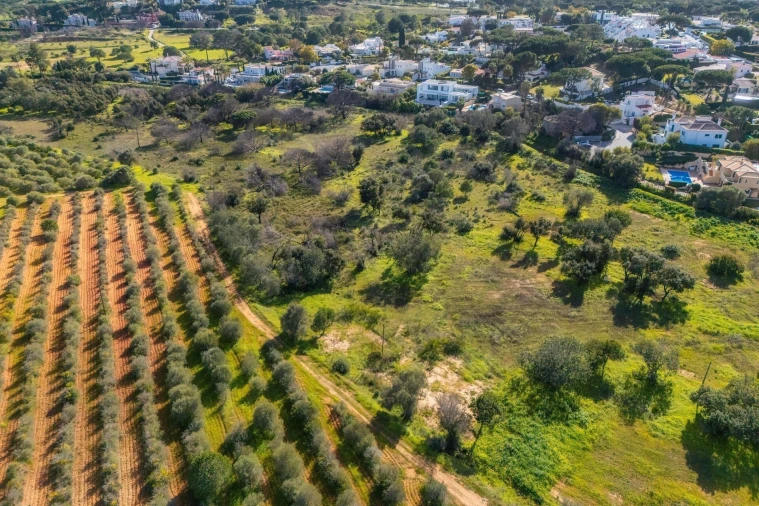 Terreno para Venda em Almancil Foto 19