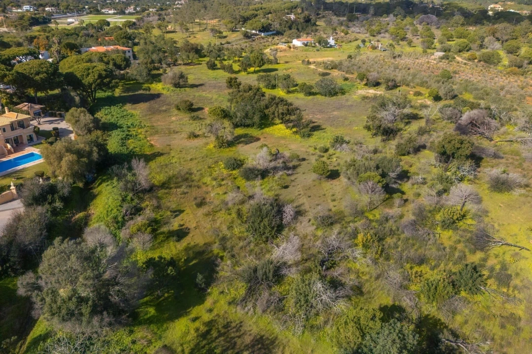 Terreno para Venda em Almancil Foto 32