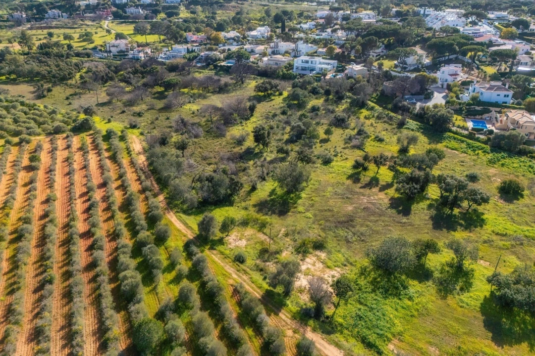 Terreno para Venda em Almancil Foto 19