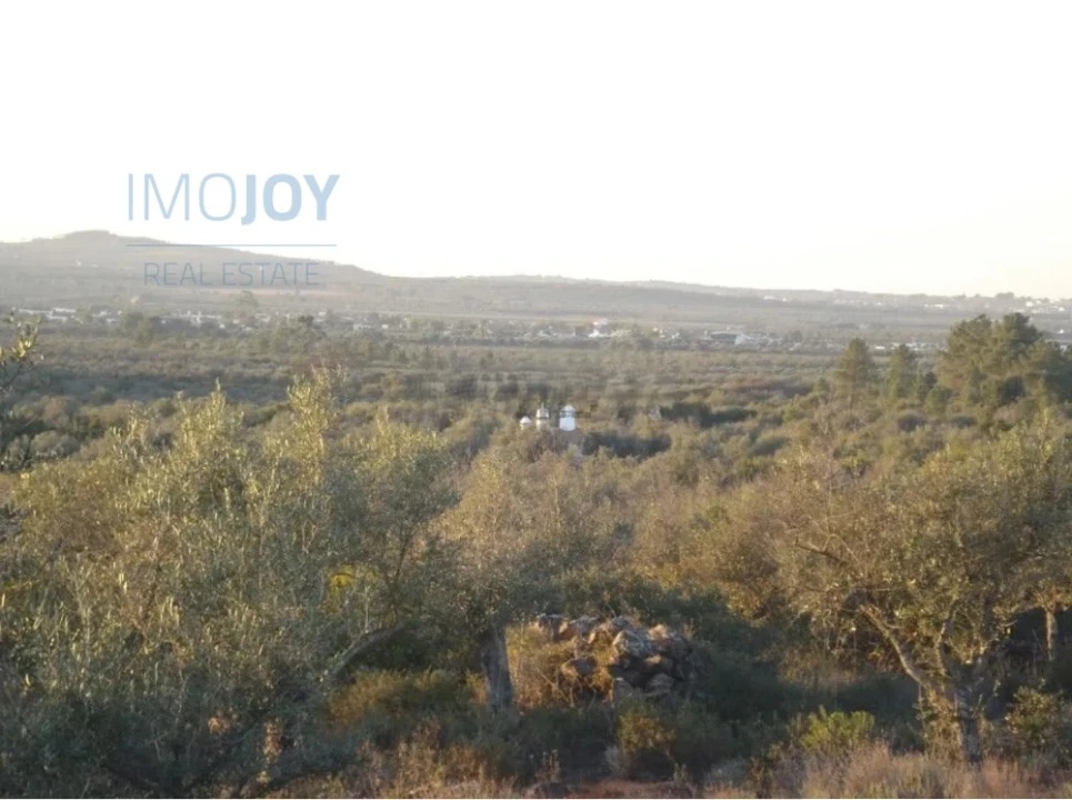 Terreno Agricola ou Rústico para Venda em Borba (Matriz) Foto 10