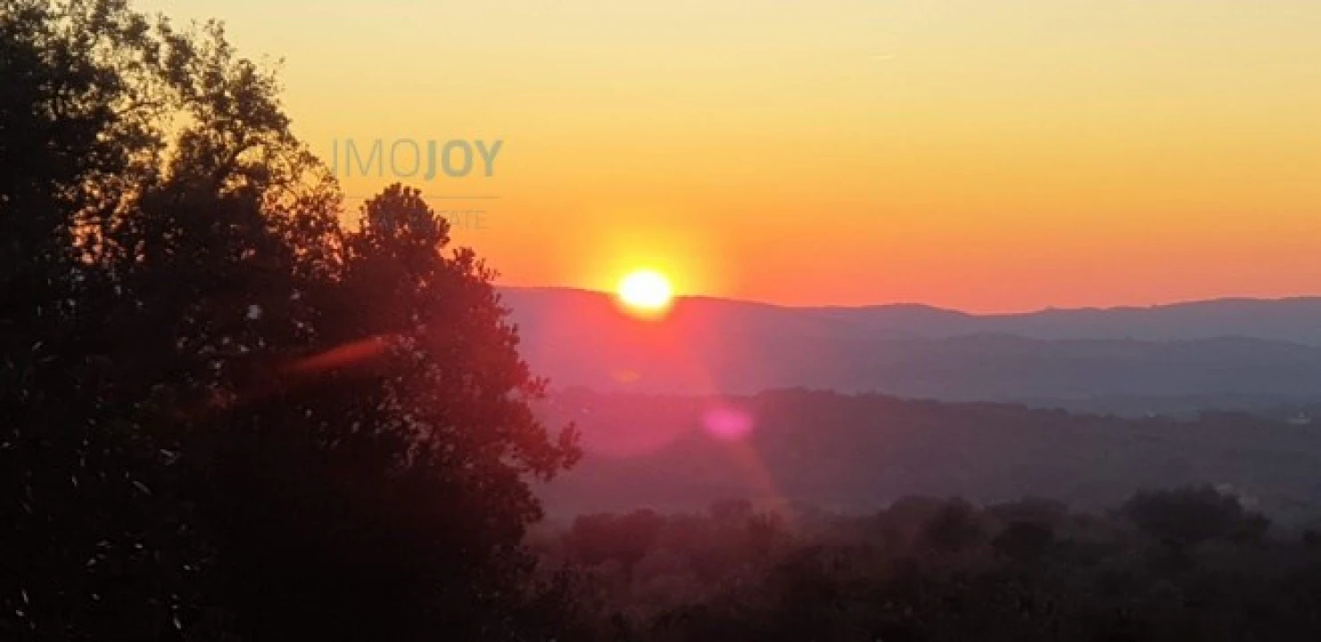 Terreno Agricola ou Rústico para Venda em Borba (Matriz) Foto 11