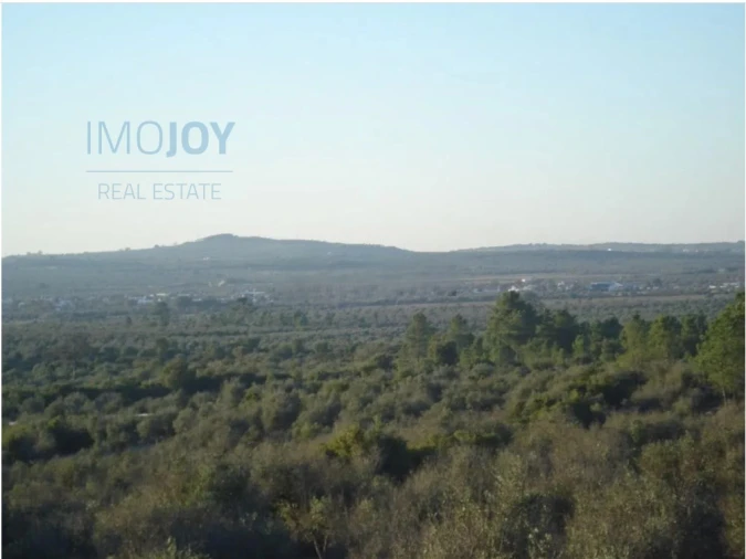 Terreno Agricola ou Rústico para Venda em Borba (Matriz) Foto 8