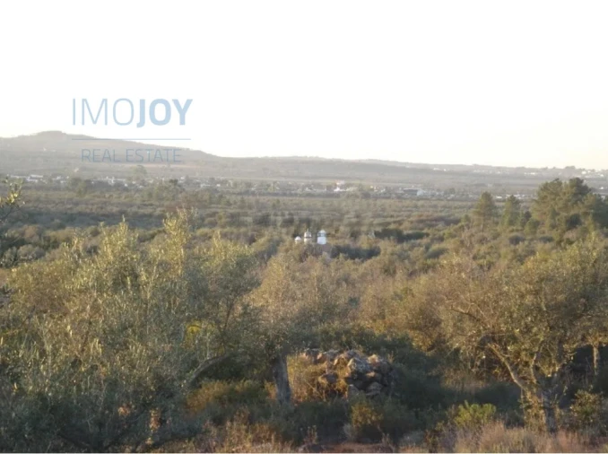 Terreno Agricola ou Rústico para Venda em Borba (Matriz) Foto 10