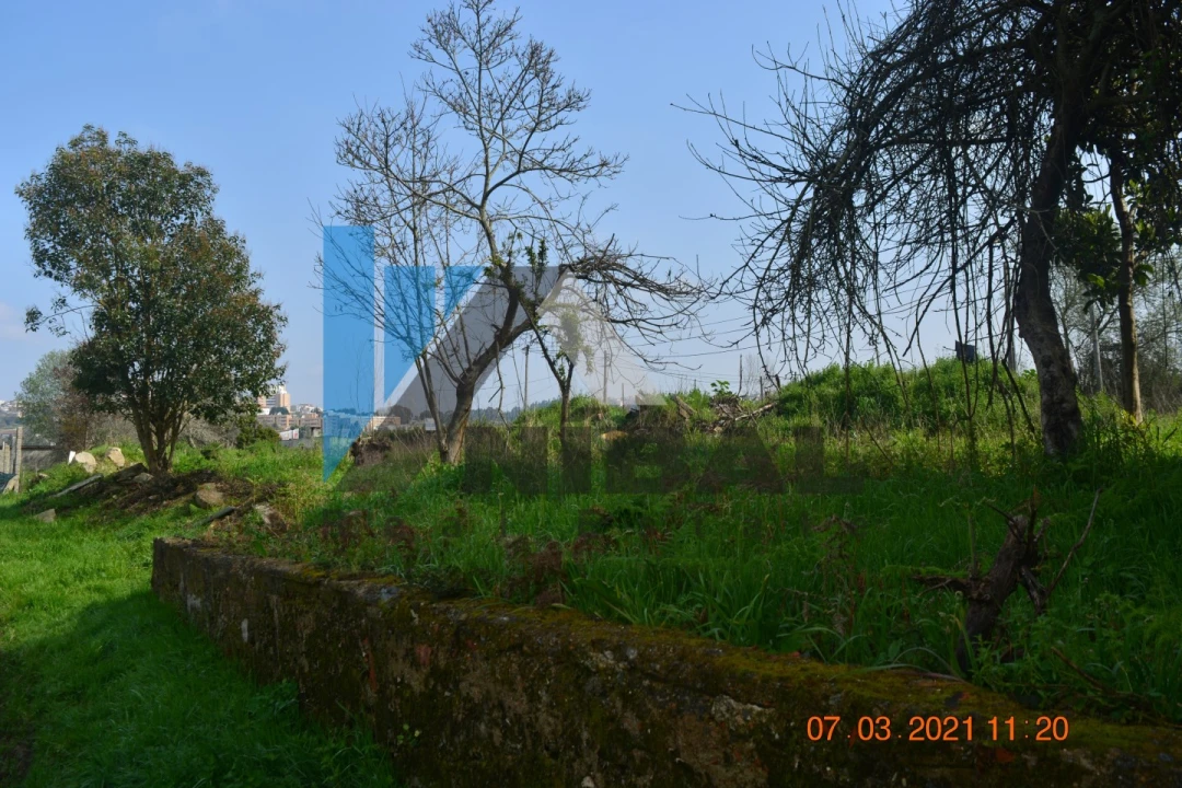 Terreno para Venda em Avintes Foto 6