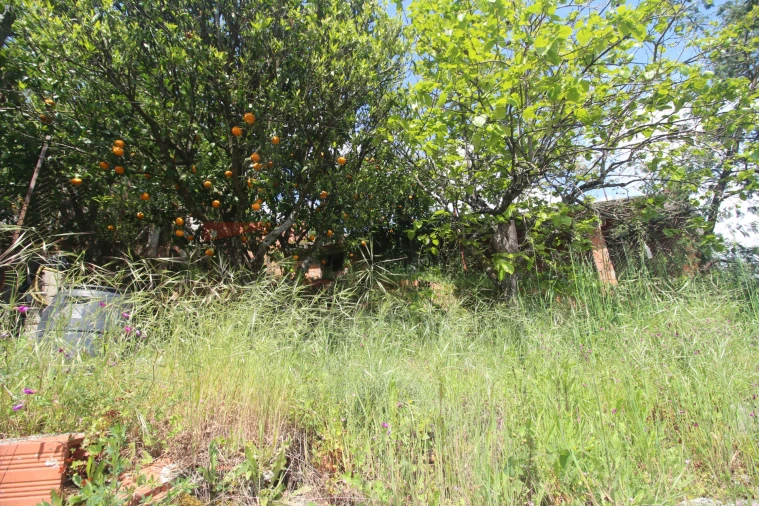 Moradia T0 para Venda em São Paio Foto 5