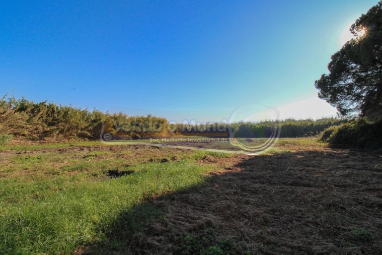 Terreno para Venda em Alcochete Foto 2