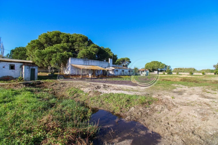 Terreno para Venda em Alcochete Foto 8