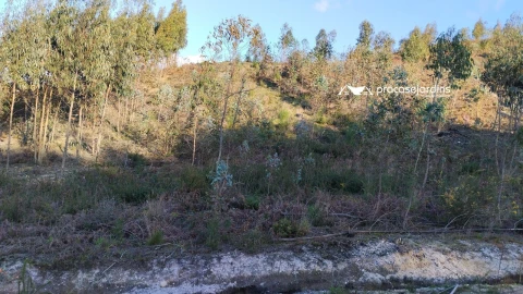 Terreno para Venda em Colmeias e Memória