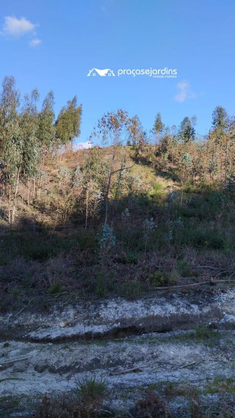 Terreno para Venda em Colmeias e Memória
