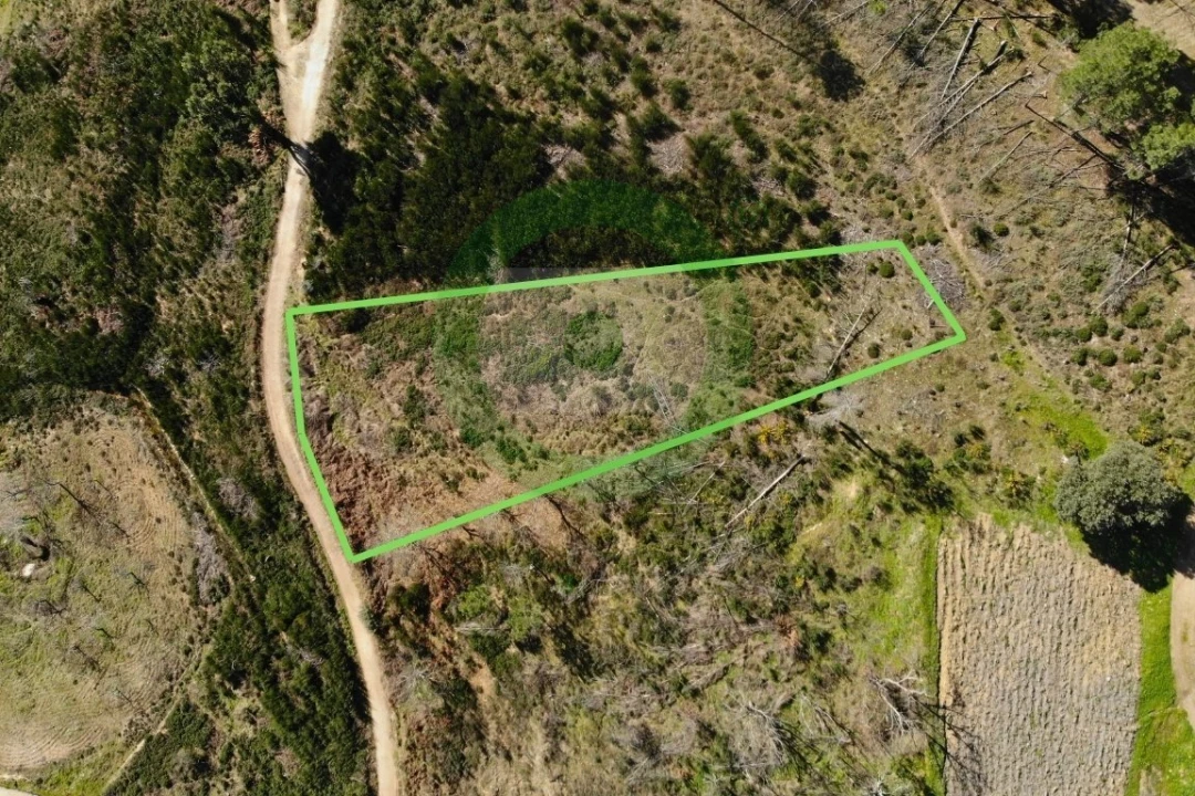 Moradia T0 para Venda em Jou Foto 20