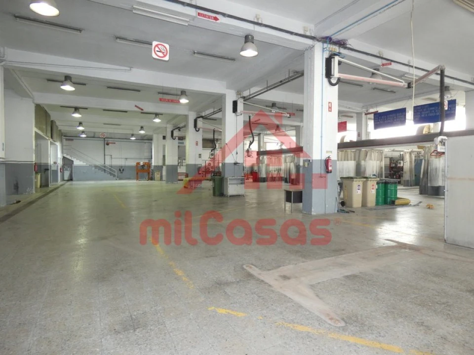 Armazém para Arrendamento em Santa Maria, São Pedro e Matacães Foto 4