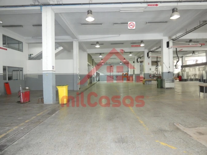 Armazém para Arrendamento em Santa Maria, São Pedro e Matacães Foto 18