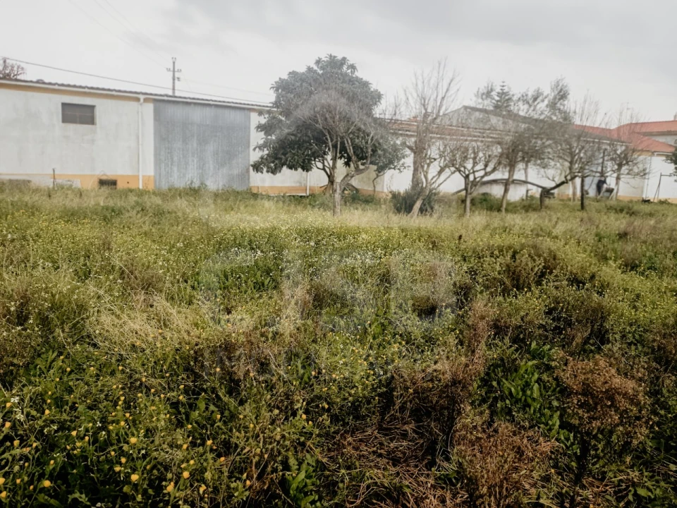 Moradia T5 para Venda em Biscainho Foto 57