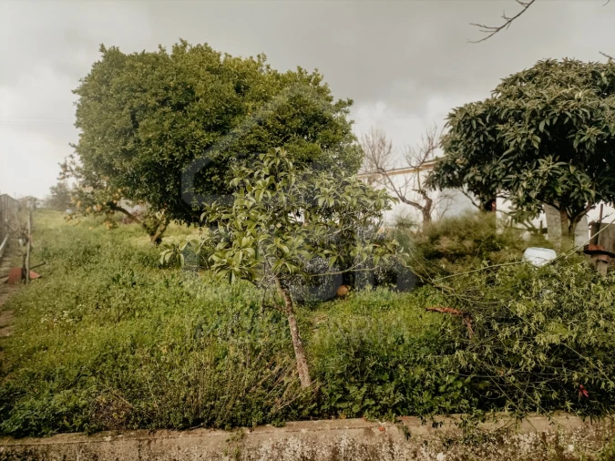 Moradia T5 para Venda em Biscainho Foto 54